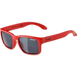 Okulary Alpina Junior Mitzo Kolor Red Gloss Szkło Black Cat.3 New 2023